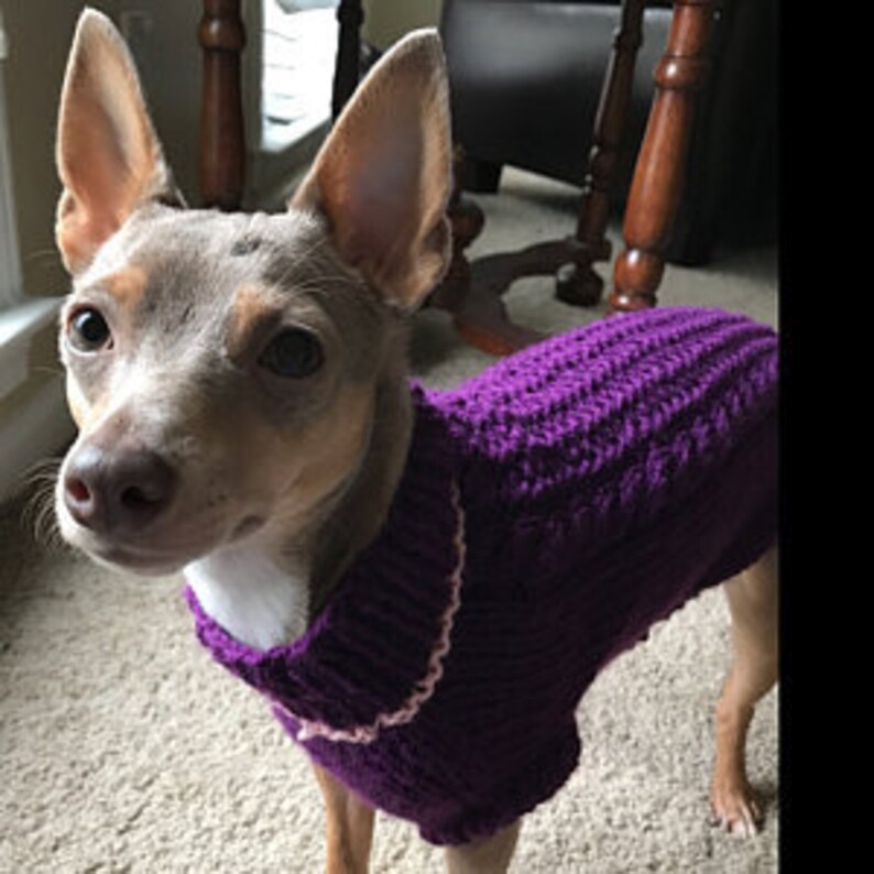 Size MEDIUM Full Length Pet Sweater With Harness Hole Dog Teal Sweater