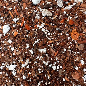 May include: Close-up of a brown potting mix with white perlite and small pieces of bark.