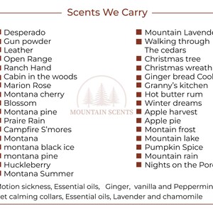 Black Ice Car Freshener, clean masculine scent for vehicles image 8