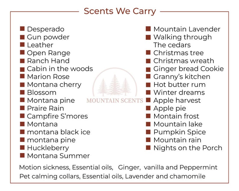Black Ice Car Freshener, clean masculine scent for vehicles image 8