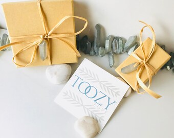 Arte Delle Clip Di Gennaio: Una Pietra Di Nascita Di Cristallo Di Garnet Una Pietra Preziosa Per L Ordine Mistico Il Compleanno Scarabeo Illustrativo 169194152