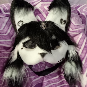 Könnte beinhalten: Eine weiß-schwarze Fellmaske mit langen Ohren und einem schwarzen Band. Die Maske hat schwarzes Fell um die Augen und auf dem Kopf. Die Ohren haben schwarze Spitzen und kleine herzförmige Markierungen. Eine silberfarbene Verzierung befindet sich auf der Stirn.