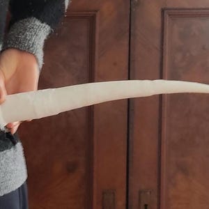 以下が含まれることがあります： 長く湾曲したオフホワイトの角で、小道具または装飾品である可能性があります。 角は人の横に当てられ、先端は外側を向いています。 背景は暗い木製のドアです。