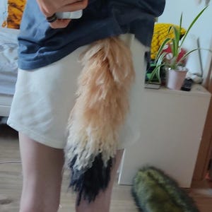 Könnte beinhalten: Ein Faux-Fur-Schwanz in Orange-, Creme- und Schwarztönen. Der Schwanz ist an einer weißen Shorts befestigt. Der Schwanz ist flauschig und hat einen Farbverlauf, der von Orange zu Creme übergeht und in Schwarz endet.
