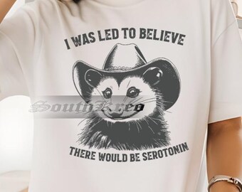 Vintage I Was Led To Believe There Would Be Seretonin Shirt, Funny Raccoon Shirt, Retro Raccoon Sweatshirt, Raccoon Meme Shirt, Gift For Her