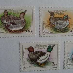 Vintage Bird stamp set Hungary stamps 1980&#39;s #286