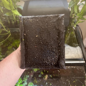 May include: A dark, porous, rectangular filter, likely for an aquarium, is held up. The filter is a dark, almost black color, with a rough, textured surface. The filter appears to be wet, with visible moisture. The background includes a fish tank and green plants.