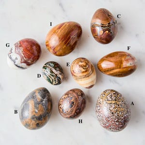 Natural Stone Egg: Jasper, Petrified Wood, Granite - Vintage Display