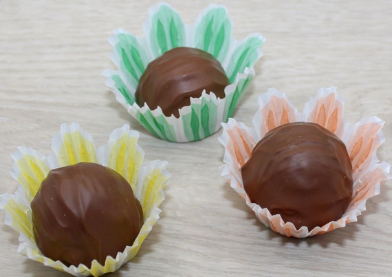 Chocolate Palermo Cummerbund Chocolate Palermo Cummerbund