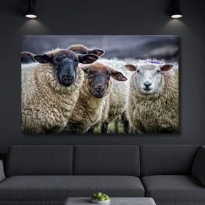 Sheep Canvas,Sheep Domestic Animal Canvas,Sheep Portrait Wall Art,Sheep Print,Sheep Wall Art ,Sheep Picture,Sheep Painting Art,Home Decor