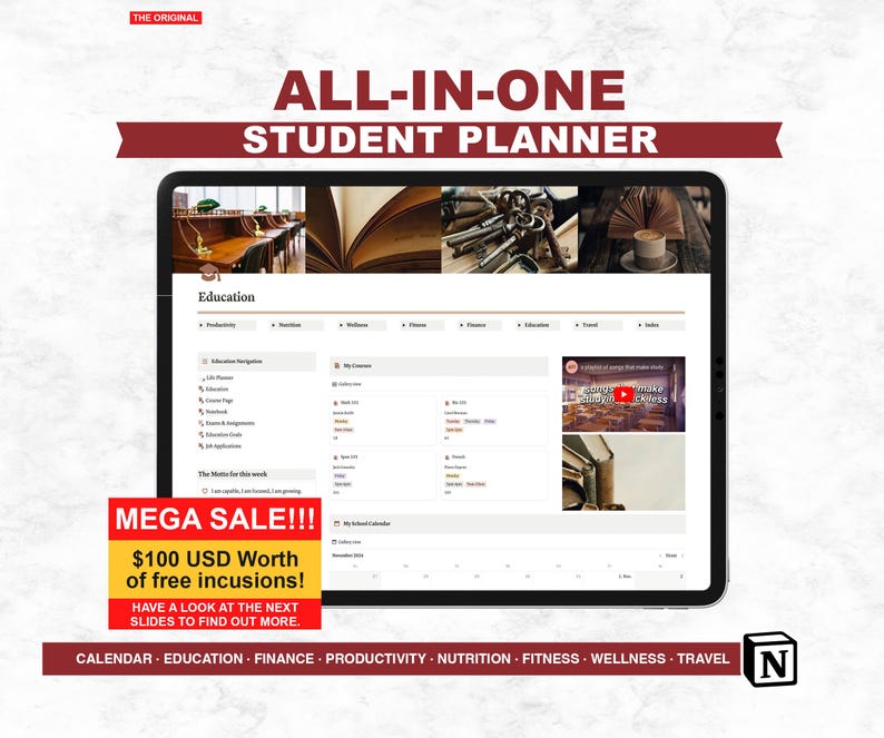 All in One Travel Finance Planner, Notion Planner Template, Life Planner