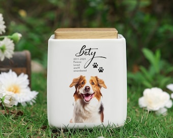 Urna personalizada para cinzas de animais de estimação, urna personalizada para animais de estimação, urna personalizada para gatos e cachorros, urna de cremação para cinzas de animais de estimação, presente para perda de animais de estimação, presentes memoriais para animais de estimação