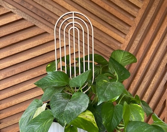 Climbing House Plant Trellis stake teacher appreciation gift Mother’s Day plant marker house plant decor climbing plants support garden