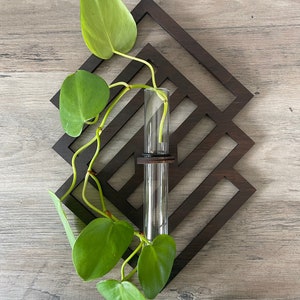 Propagation station Air Office Home Decor Art Wall planter indoor Natural Geo Modern Hanging Gifts for her plant lovers Plant Wood