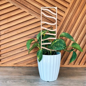 Ladder House Plant Trellis stake teacher appreciation gift Mothers Day plant marker house plant decor climbing plants support garden style image 5