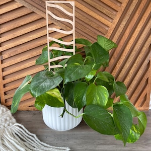 Ladder House Plant Trellis stake teacher appreciation gift Mothers Day plant marker house plant decor climbing plants support garden style image 6