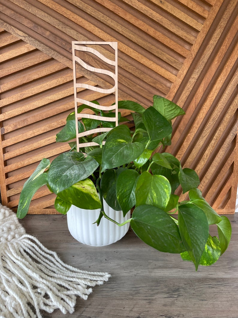 Ladder House Plant Trellis stake teacher appreciation gift Mothers Day plant marker house plant decor climbing plants support garden style image 6