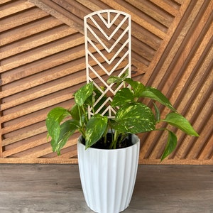 House Plant Trellis Diagonal Modern Boho stake teacher appreciation gift Mothers Day house decor climbing plants support garden style image 3