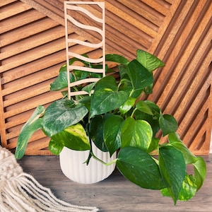 Ladder House Plant Trellis stake teacher appreciation gift Mothers Day plant marker house plant decor climbing plants support garden style image 2