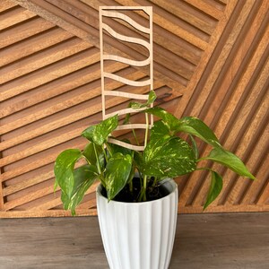 Ladder House Plant Trellis stake teacher appreciation gift Mothers Day plant marker house plant decor climbing plants support garden style image 4