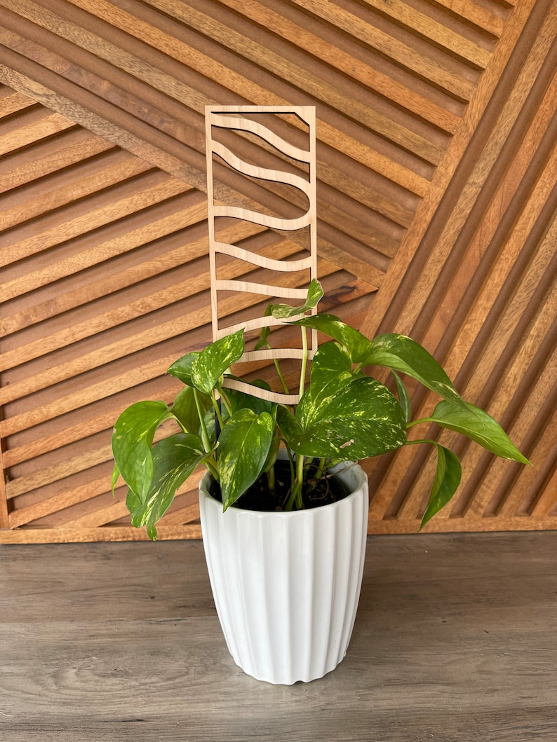 Ladder House Plant Trellis stake teacher appreciation gift Mothers Day plant marker house plant decor climbing plants support garden style image 4