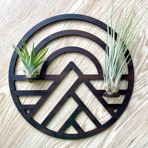 Wood Wall decor / Propagation station Air Plant Mountain Wall planter indoor Natural PNW Hanging Gifts for her plant lovers Plant Wall image 4