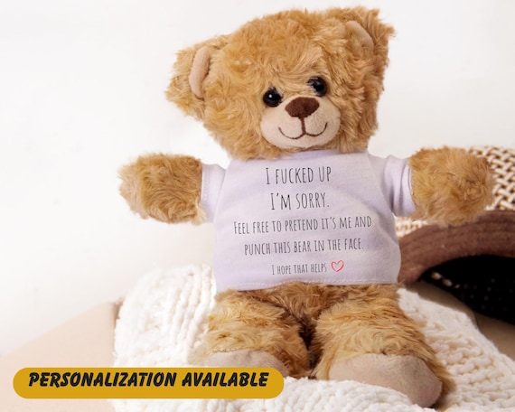 Funny Apology Teddy Bear, 