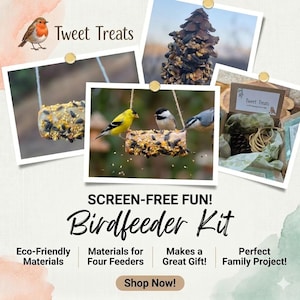 DIY Pine Cone Bird Feeder Craft Kit – Kids Nature Activity, Homeschool Science, Bonus Printables