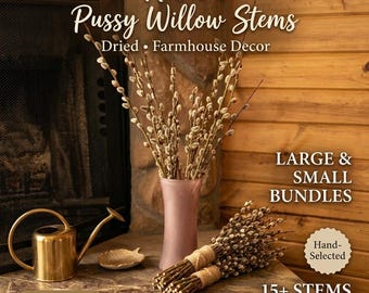 Ramas de sauce gatuno secas naturales / Ramas decorativas de estilo rústico / Manojo pequeño o grande / Para rellenar jarrones (más de 15 ramas)