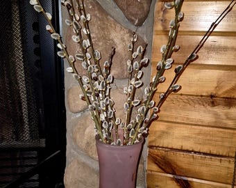 Natürliche Getrocknete Weidenkätzchen Stiele | Bauernhaus Deko Zweige | Kleines oder großes Bündel | Vase Filler (15+ Stiele)