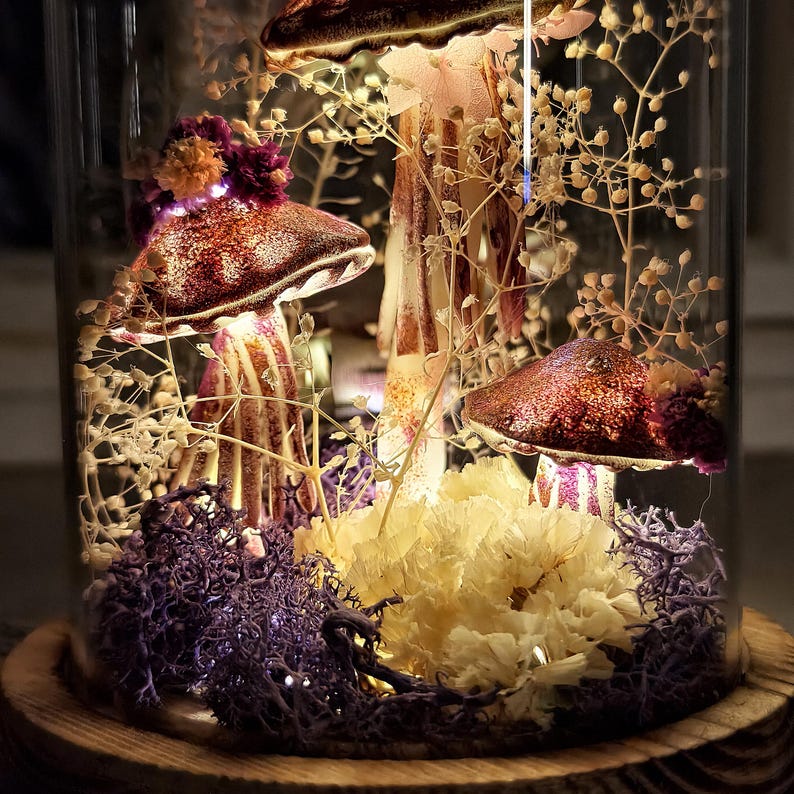 Puede incluir: Una campana de cristal decorativa con esculturas de hongos iluminadas. Los hongos tienen sombreros marrones con motas blancas y tallos rayados. La base incluye musgo morado, flores amarillas y delicadas ramitas blancas, todo iluminado por peque&ntilde;as luces de hadas.