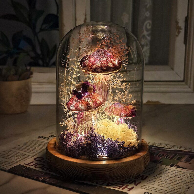 Puede incluir: Campana de cristal decorativa con tres esculturas de setas con sombreros moteados rojos y blancos. Las setas est&aacute;n rodeadas de plantas secas, iluminadas por peque&ntilde;as luces y colocadas sobre una base de madera.