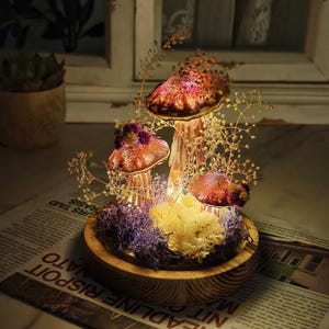 Puede incluir: Un terrario decorativo de setas con tres sombreros de setas rojos y rosas brillantes iluminados. Las setas est&aacute;n rodeadas de flores secas y musgo, colocadas en una base de madera. El terrario est&aacute; iluminado desde dentro.