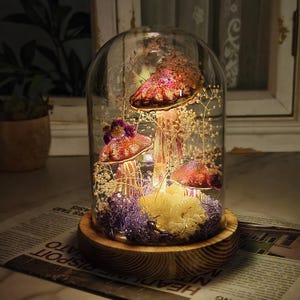 Puede incluir: Una campana de cristal decorativa con setas artificiales iluminadas. Las setas tienen sombreros rojos y dorados con purpurina y est&aacute;n rodeadas de flores secas y musgo. La base es de madera.