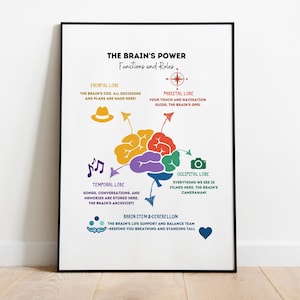 Brain Anatomy Poster, Educational Psychology Decor, Brain Lobes Art for Classrooms, Therapy, and Offices