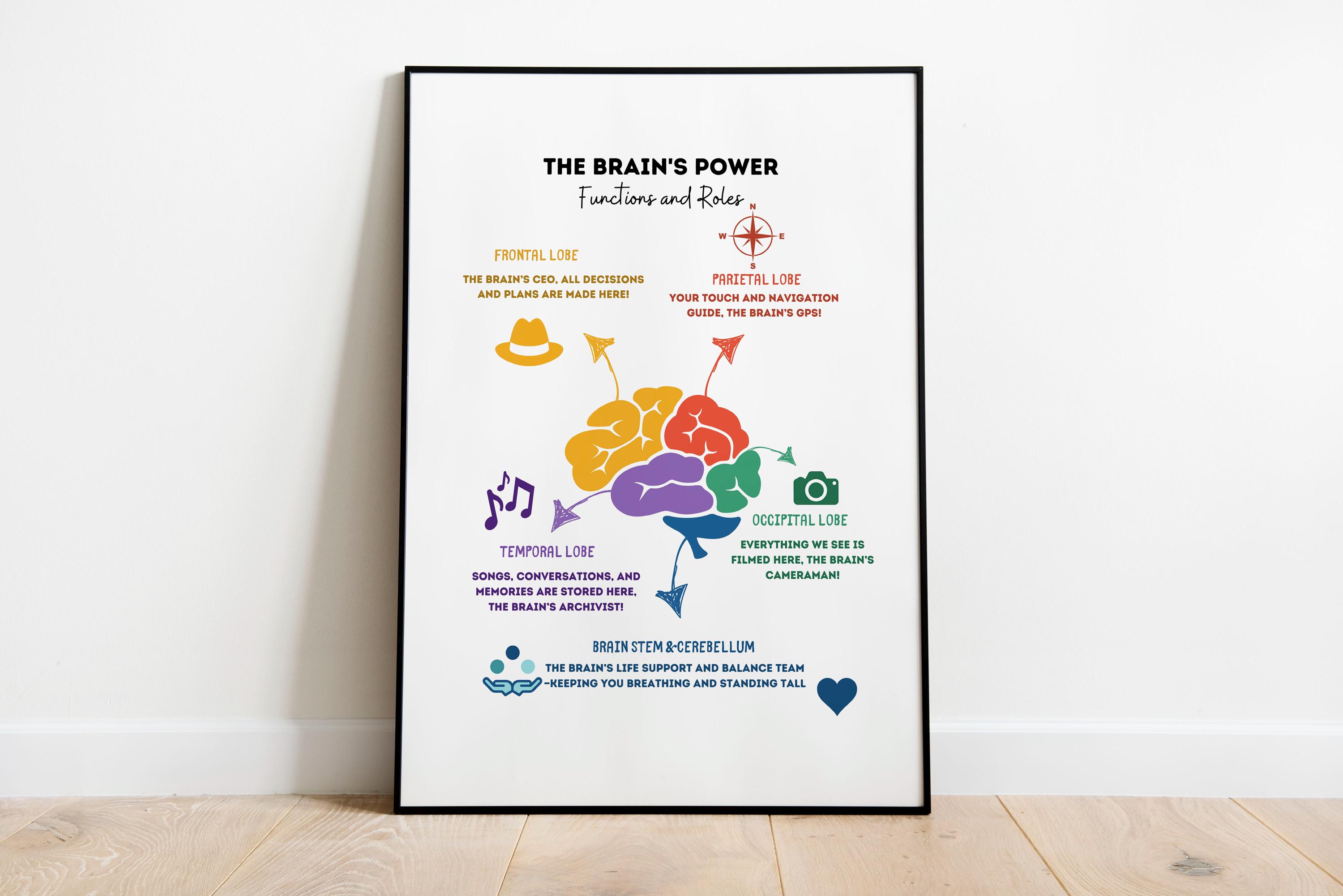 Brain Anatomy Poster, Educational Psychology Decor, Brain Lobes Art for ...