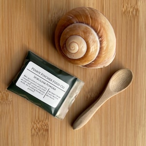 Green Spirulina Powder - Hermit Crab Food