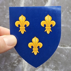 Sticker wapenschild, Frankrijk schild vinyl sticker, Franse middeleeuwse sticker, cadeausticker voor geschiedenisliefhebbers