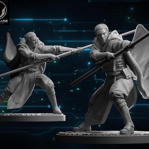May include: Two grey figurines of figures in action poses, wielding staffs. The figures are dressed in hooded robes and trousers. The Wardlade Studio logo is in the upper left corner. The figures are on a circular base.