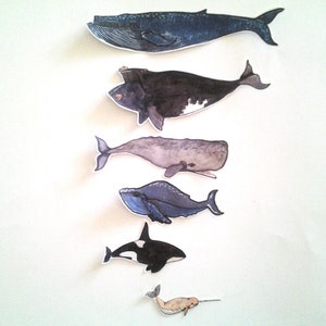 Whale Stickers, unique, hand cut, Art Stickers, sticker set image 6