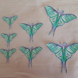 Luna Moth Sticker Sets, moth stickers, art stickers, sticker art image 1