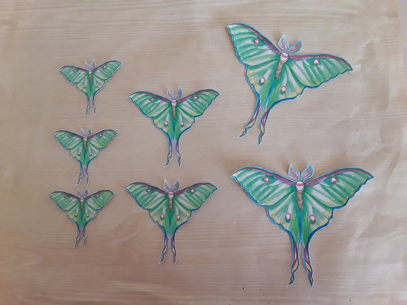 Luna Moth Sticker Sets, moth stickers, art stickers, sticker art image 1