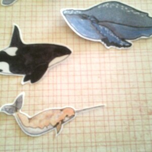 Whale Stickers, unique, hand cut, Art Stickers, sticker set image 2