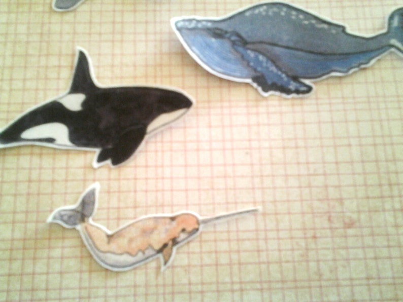 Whale Stickers, unique, hand cut, Art Stickers, sticker set image 2