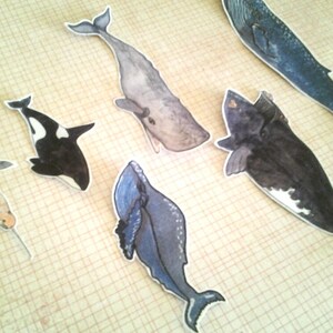 Whale Stickers, unique, hand cut, Art Stickers, sticker set image 4