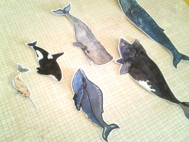 Whale Stickers, unique, hand cut, Art Stickers, sticker set image 4