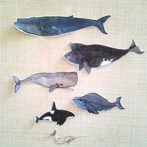 Whale Stickers, unique, hand cut, Art Stickers, sticker set image 1