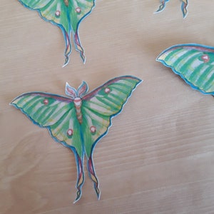 Luna Moth Sticker Sets, moth stickers, art stickers, sticker art image 3