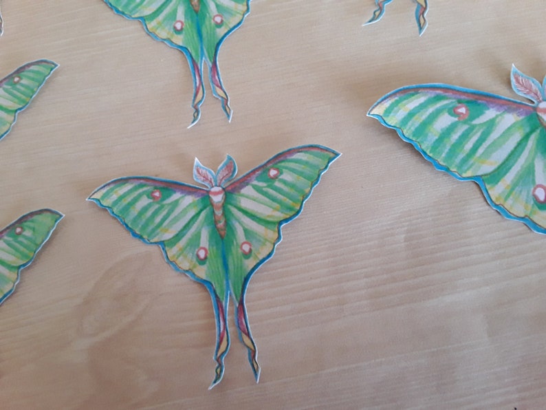 Luna Moth Sticker Sets, moth stickers, art stickers, sticker art image 3