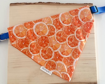 Pomarańcze-Bandana dla zwierząt